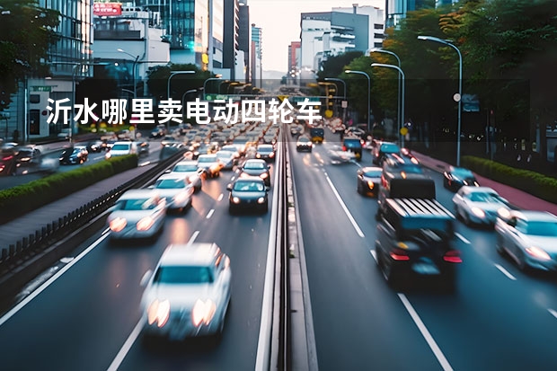 沂水哪里卖电动四轮车