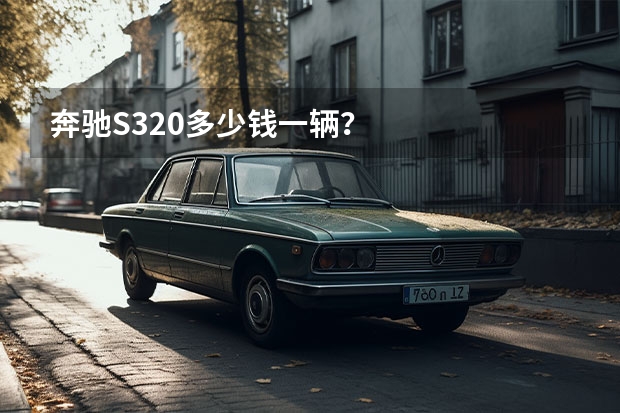 奔驰S320多少钱一辆？