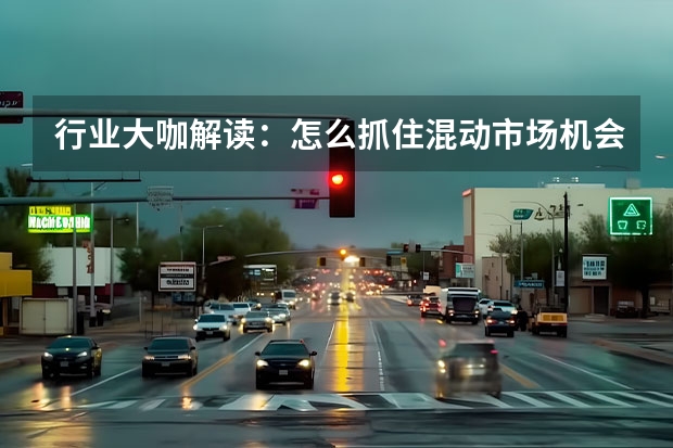 行业大咖解读：怎么抓住混动市场机会，零部件怎么出海？