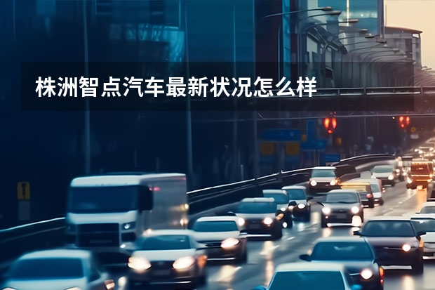 株洲智点汽车最新状况怎么样