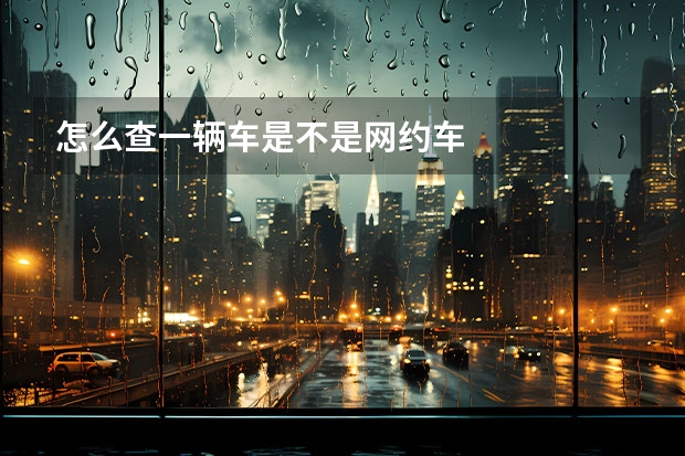 怎么查一辆车是不是网约车