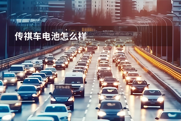 传祺车电池怎么样