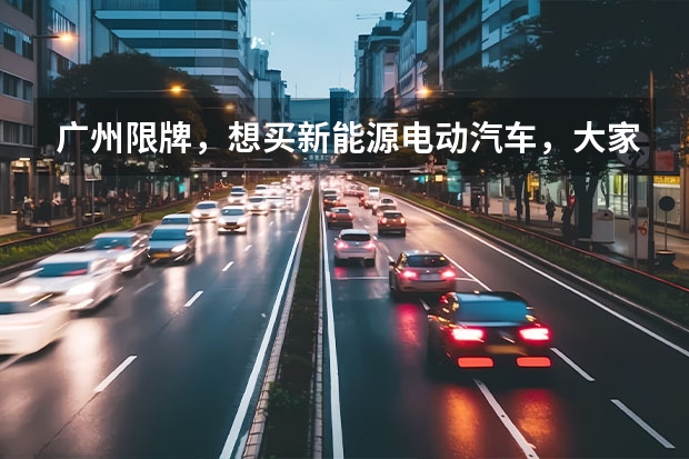 广州限牌，想买新能源电动汽车，大家觉得小鹏G3这款车值得入手吗