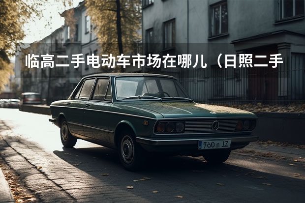 临高二手电动车市场在哪儿（日照二手电动车交易市场在哪）