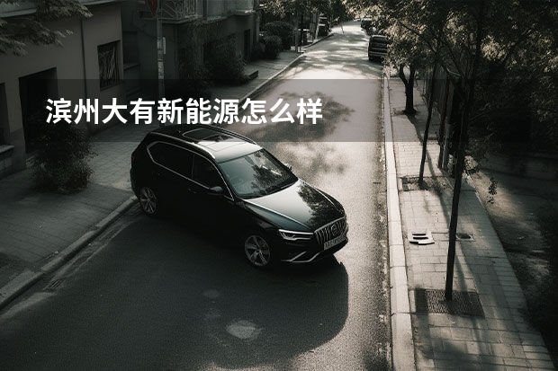 滨州大有新能源怎么样