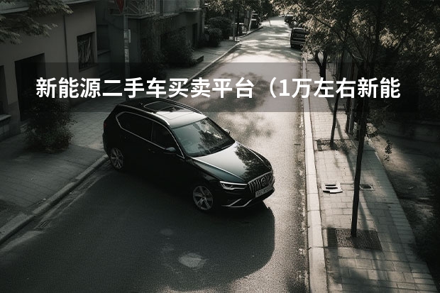 新能源二手车买卖平台（1万左右新能源电动汽车）