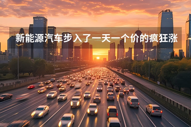 新能源汽车步入了一天一个价的疯狂涨价周期，究竟是什么导致了这一现象？