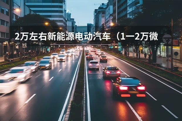 2万左右新能源电动汽车（1一2万微型小汽车）