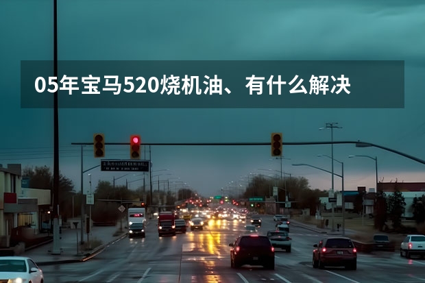 05年宝马520烧机油、有什么解决的办法吗？除了大修、望高人指点