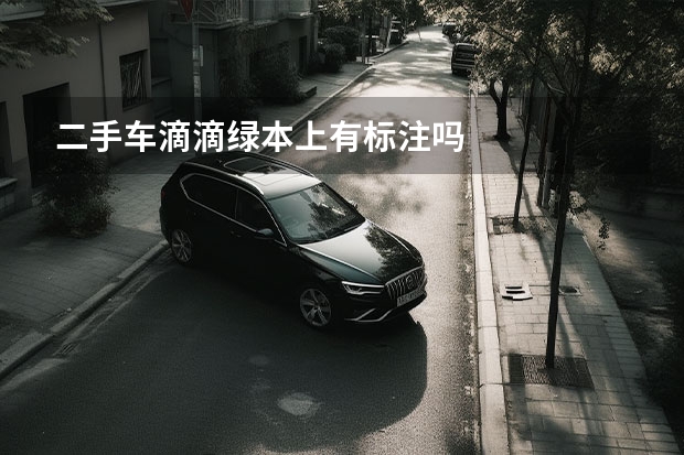 二手车滴滴绿本上有标注吗