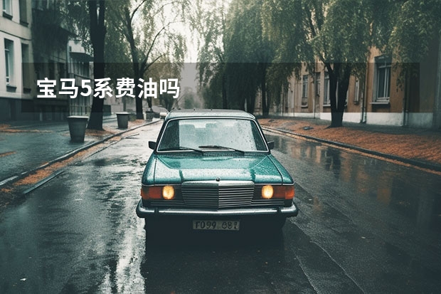 宝马5系费油吗