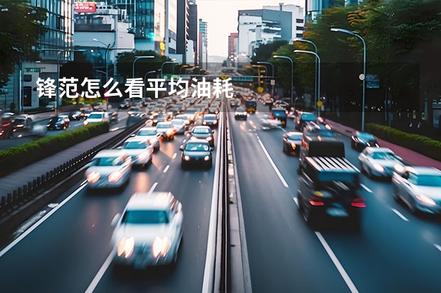 锋范怎么看平均油耗