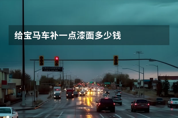 给宝马车补一点漆面多少钱
