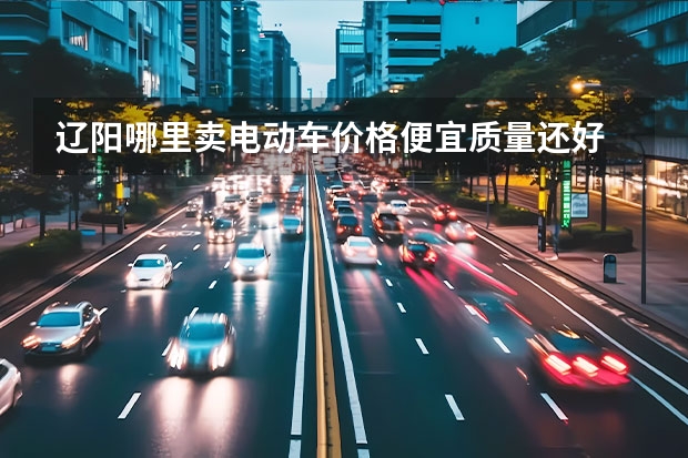 辽阳哪里卖电动车价格便宜质量还好