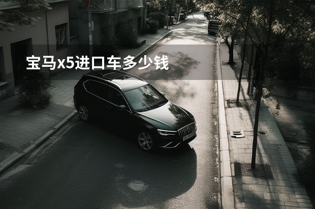 宝马x5进口车多少钱