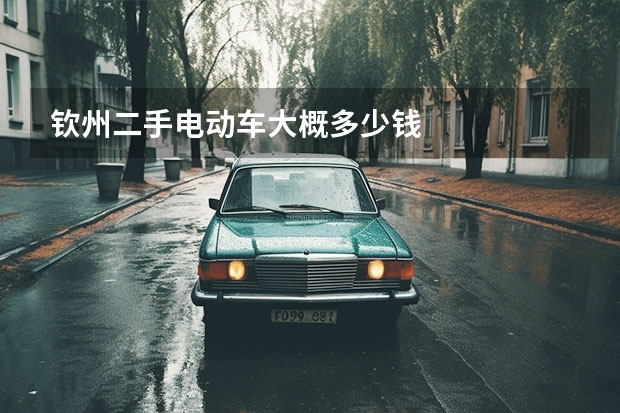 钦州二手电动车大概多少钱
