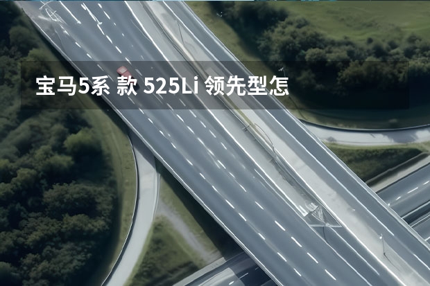 宝马5系 款 525Li 领先型怎么样
