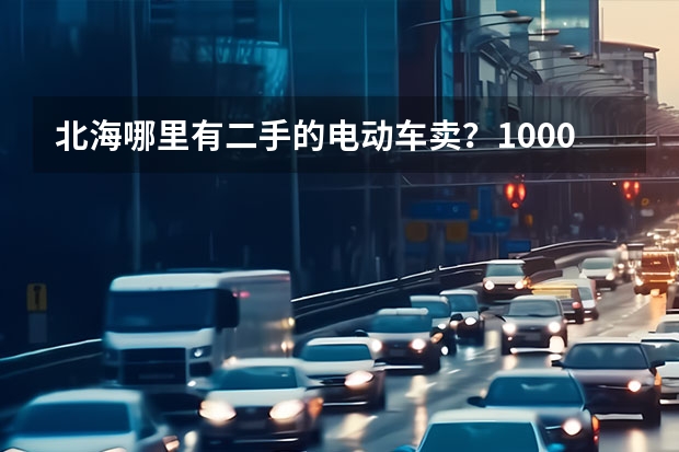 北海哪里有二手的电动车卖？1000以下的 上班用的