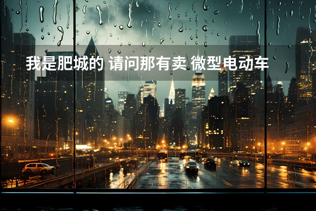 我是肥城的 请问那有卖 微型电动车的 好像是锂电的 价格是多少