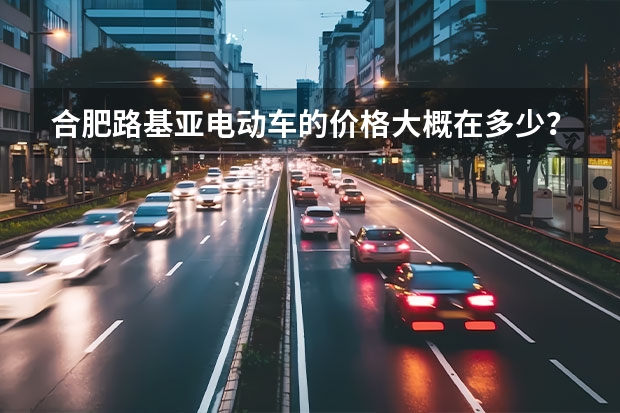 合肥路基亚电动车的价格大概在多少？