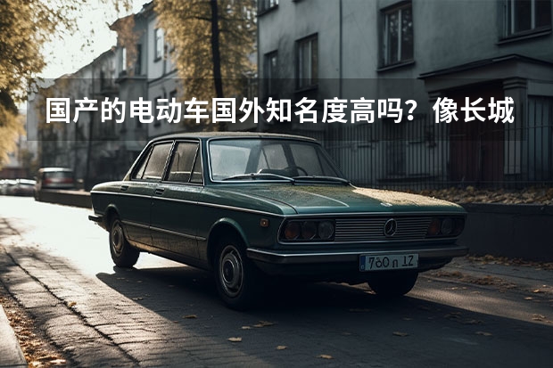 国产的电动车国外知名度高吗？像长城欧拉做的怎么样？