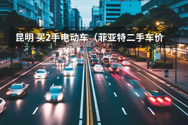 昆明 买2手电动车（菲亚特二手车价格）
