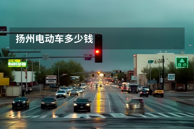 扬州电动车多少钱