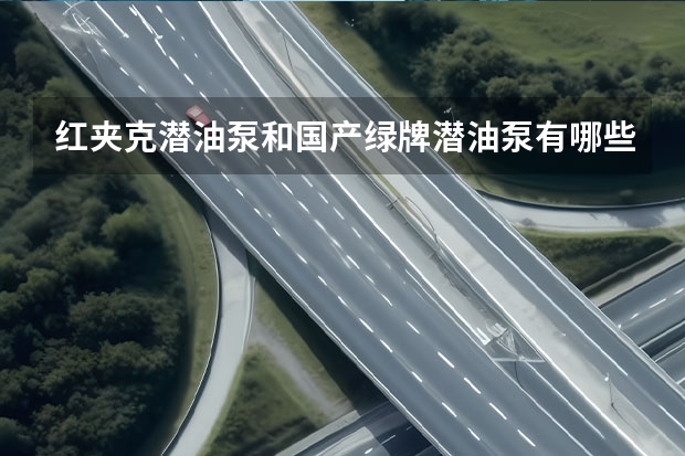 红夹克潜油泵和国产绿牌潜油泵有哪些不同？