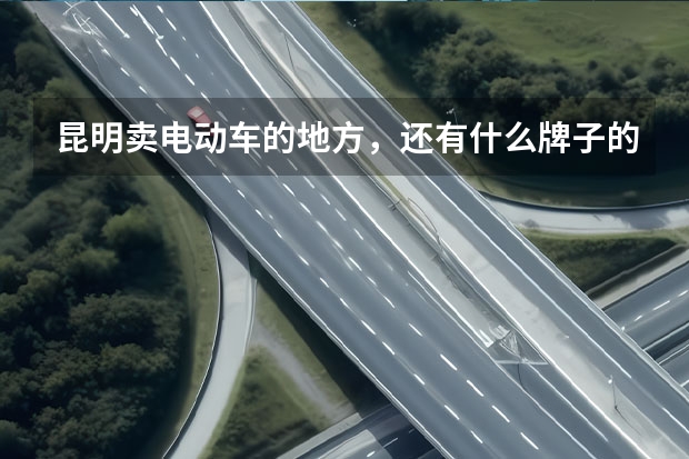 昆明卖电动车的地方，还有什么牌子的较好，价格如何，谢谢了