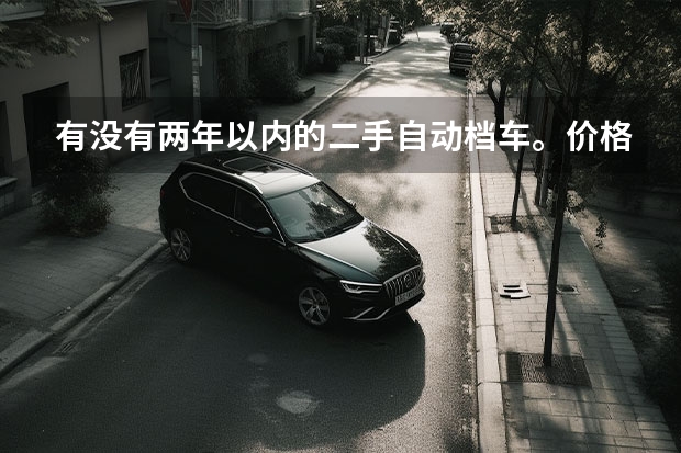 有没有两年以内的二手自动档车。价格四五万的。（我要买个二手电动车，他说他8个月前买的，骑了一个多月，就买车没骑了。这都半年没动了。电瓶，电机会有问）