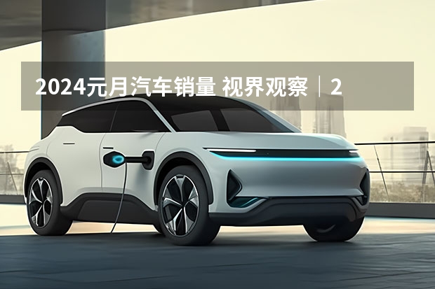 2024元月汽车销量 视界观察｜2024年度车企“小目标”，销量翻番或可期？