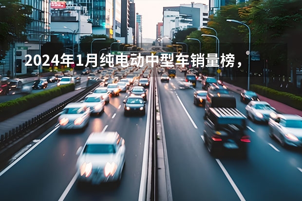 2024年1月纯电动中型车销量榜，榜首意外之选！（汽车销量排行榜）