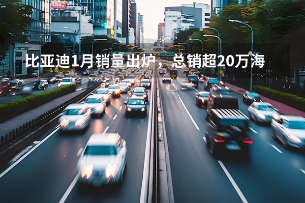 比亚迪1月销量出炉，总销超20万海洋网热卖，仰望U8火爆 东风汽车2024年1月整体销量为27.4万辆 同比增长120%