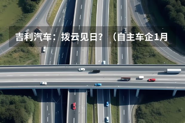 吉利汽车：拨云见日？（自主车企1月销量评：比亚迪第一，长安、吉利次之，奇瑞第四）