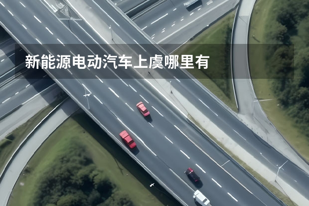 新能源电动汽车上虞哪里有