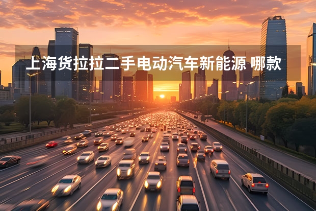 上海货拉拉二手电动汽车新能源 哪款新能源面包车适合跑货拉拉?